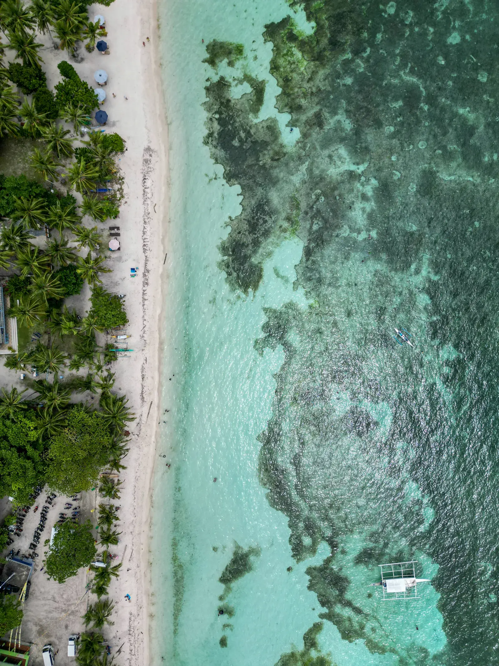 Dumaluan Beach with calm shallow water and palm trees