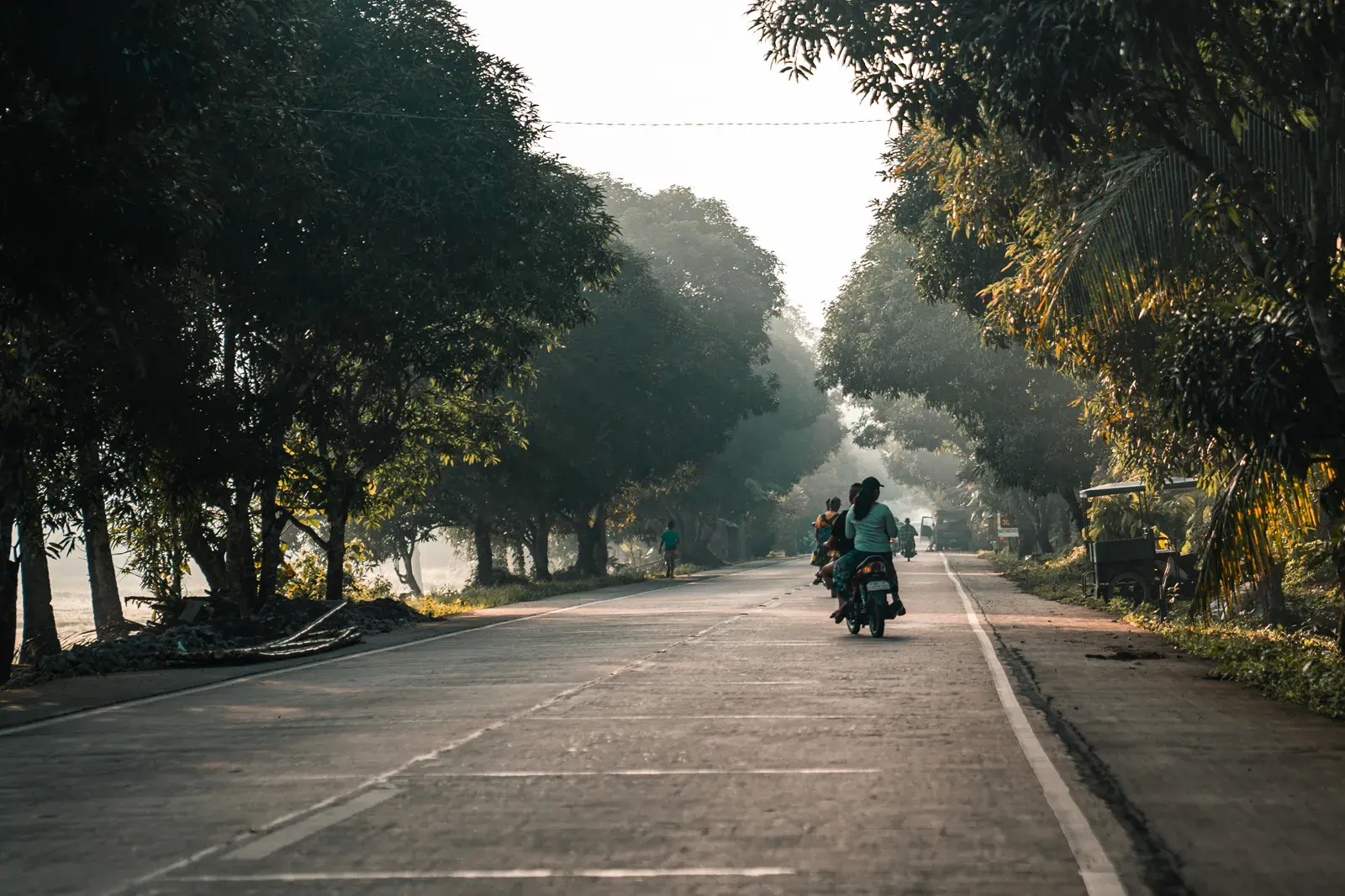 Road near General Luna lined with trees in Siargao