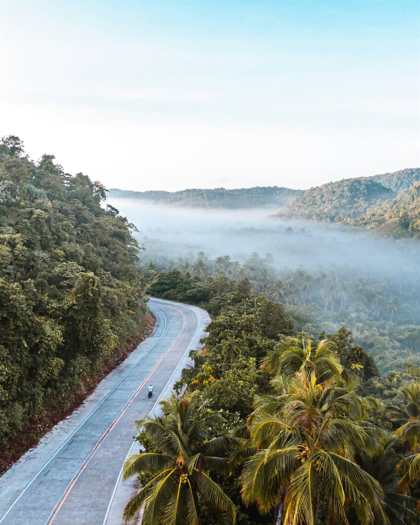 Palm-lined road in Siargao